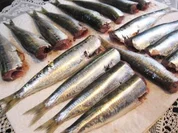 Sardinen ... - Rezept