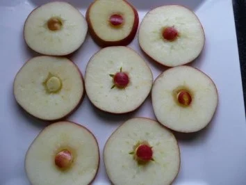 Fisch Tapas:Heringsessen 1 - Rezept - Bild Nr. 3