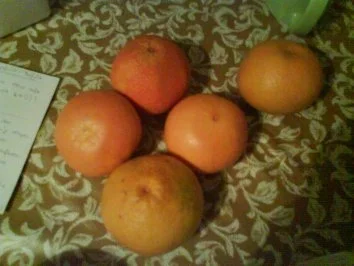 Grapefruit-Honigparfait mit Grapefruitfilets - Rezept - Bild Nr. 5