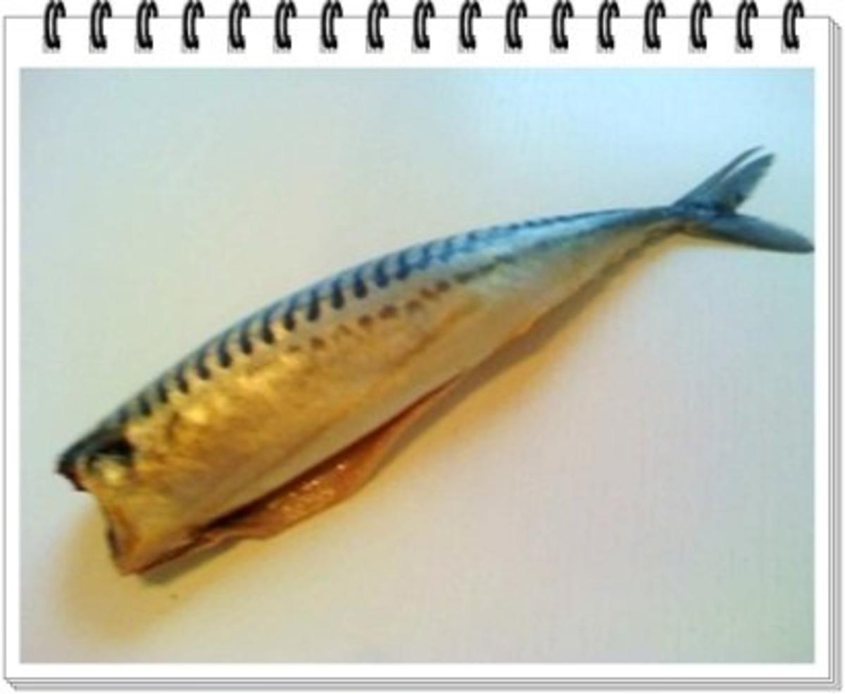Ägyptischer gebratener Fisch - Rezept - Bild Nr. 2