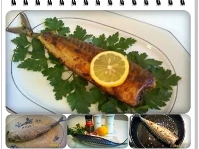 Ägyptischer gebratener Fisch - Rezept - Bild Nr. 13