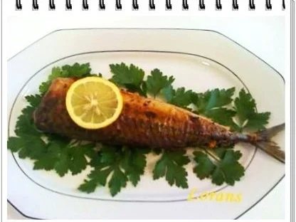 Ägyptischer gebratener Fisch - Rezept - Bild Nr. 12