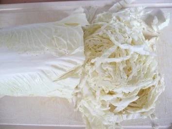 Rezept: Gratiniertes Gemüse Bild Nr. 2 Gratiniertes Gemüse - Rezept - Bild Nr. 2