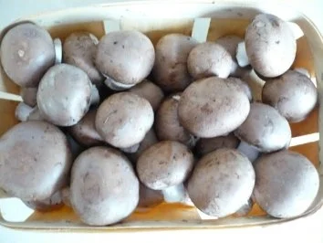 Rezept: Gratiniertes Gemüse Bild Nr. 5 Gratiniertes Gemüse - Rezept - Bild Nr. 5