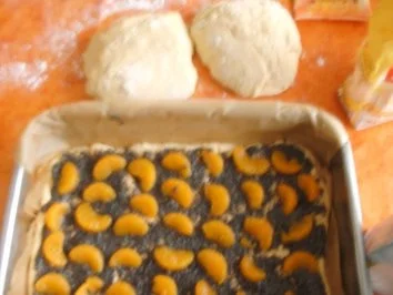 KUCHEN : Abgedeckte Kuchen von Kochmamma - Rezept - Bild Nr. 2