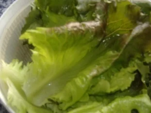 Blattsalate mit Kalbsschnitzelchen - Rezept - Bild Nr. 2