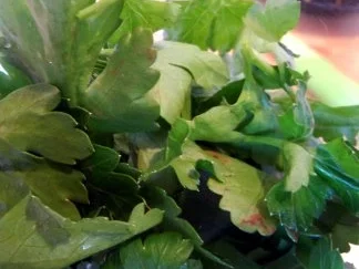 Zitronenpesto - Rezept - Bild Nr. 3