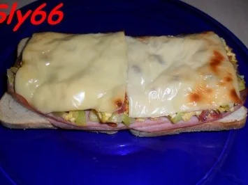 Toast:Toast-Allerlei - Rezept