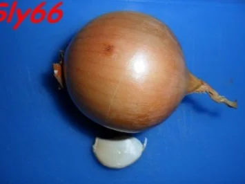 Toast:Toast-Allerlei - Rezept - Bild Nr. 2