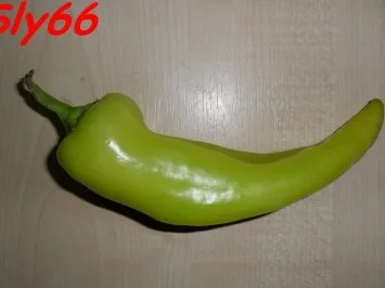 Toast:Toast-Allerlei - Rezept - Bild Nr. 4