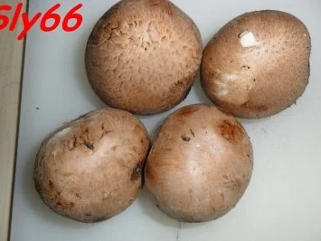 Snacks:Würstchen im Schlafrock - Rezept - Bild Nr. 6