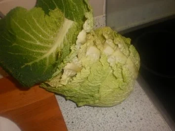 Rezept: Wirsing-Hackbraten Bild Nr. 4 Wirsing-Hackbraten - Rezept - Bild Nr. 4