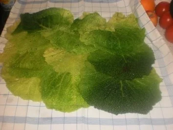 Rezept: Wirsing-Hackbraten Bild Nr. 8 Wirsing-Hackbraten - Rezept - Bild Nr. 8