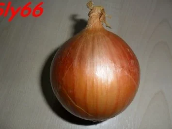 Eintöpfe:Hackfleisch-Gemüsetopf - Rezept - Bild Nr. 4