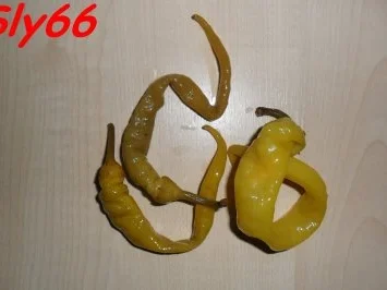 Eintöpfe:Hackfleisch-Gemüsetopf - Rezept - Bild Nr. 8