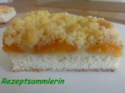 Hefe:    APRIKOSEN-BLECHKUCHEN mit  Butterstreusel - Rezept