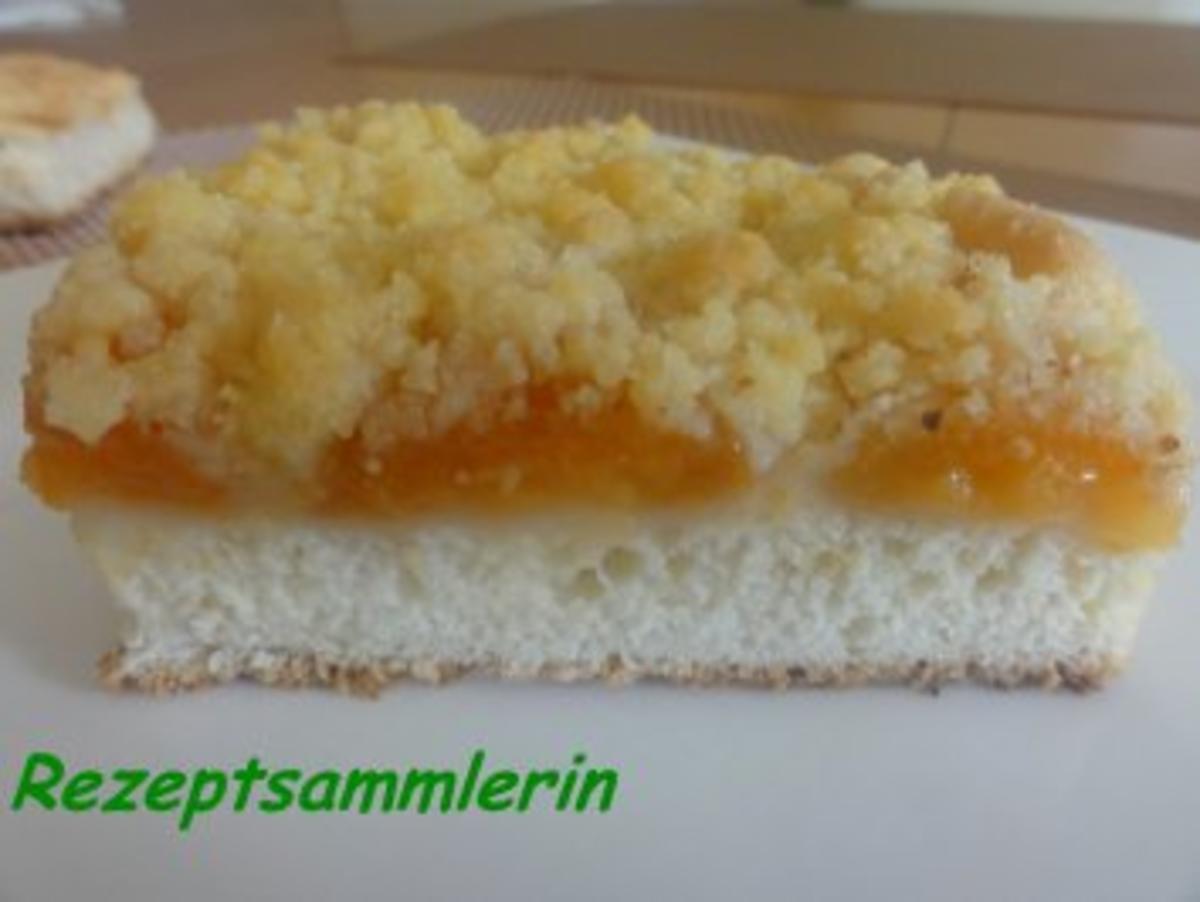 Bilder für Hefe: APRIKOSEN-BLECHKUCHEN mit Butterstreusel - Rezept