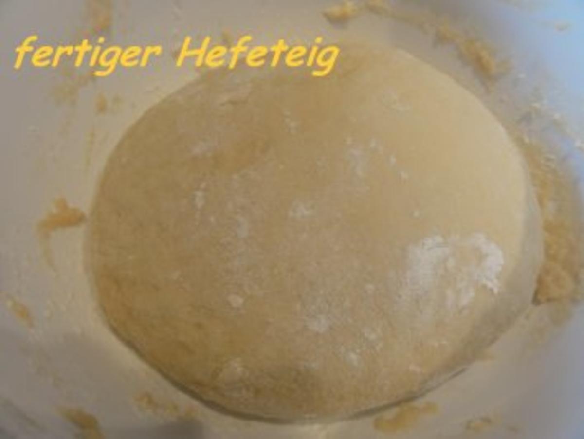 Hefe:    APRIKOSEN-BLECHKUCHEN mit  Butterstreusel - Rezept - Bild Nr. 3