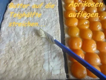 Hefe:    APRIKOSEN-BLECHKUCHEN mit  Butterstreusel - Rezept - Bild Nr. 6