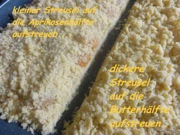 Hefe:    APRIKOSEN-BLECHKUCHEN mit  Butterstreusel - Rezept - Bild Nr. 8