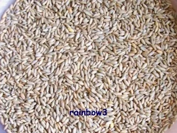 Sonstiges: Sauerteig aus Roggen - Rezept