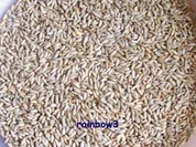 Sonstiges: Sauerteig aus Roggen - Rezept