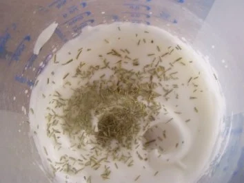 -Snacks- Kürbiskernmakronen - Rezept - Bild Nr. 2