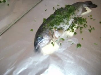 Forelle - Rezept - Bild Nr. 3