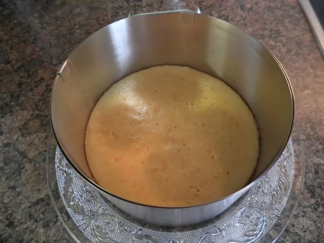 Rezept: Zitronenfalter - Ein lieber Frühlingsgruß Bild Nr. 14 Zitronenfalter - Ein lieber Frühlingsgruß - Rezept - Bild Nr. 14