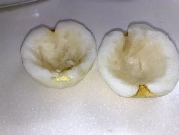 Rezept: Armada Bild Nr. 2 Armada - Rezept - Bild Nr. 2