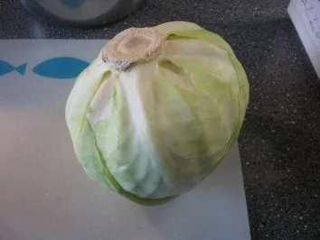 Rezept: Hack-Kohl-Paprika Topf Bild Nr. 2 Hack-Kohl-Paprika Topf - Rezept - Bild Nr. 2