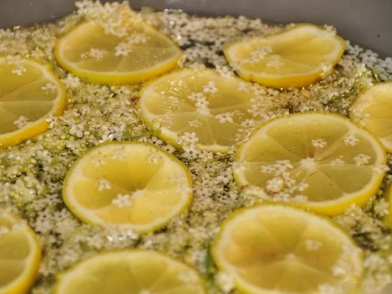 Holunderblütensirup - Rezept - Bild Nr. 2