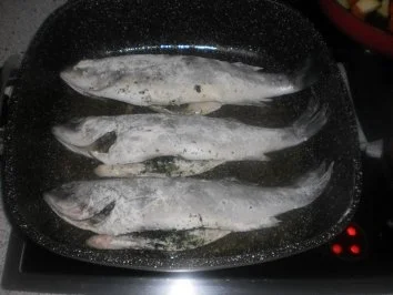 Wolfsbarsch - Rezept - Bild Nr. 4