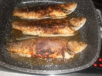 Wolfsbarsch - Rezept - Bild Nr. 5