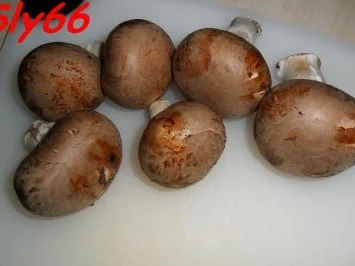 Rezept: Snacks:Knacker im Blätterteig Bild Nr. 6 Snacks:Knacker im Blätterteig - Rezept - Bild Nr. 6