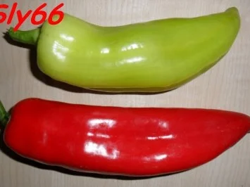 Rezept: Snacks:Knacker im Blätterteig Bild Nr. 8 Snacks:Knacker im Blätterteig - Rezept - Bild Nr. 8