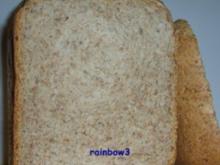 Backen: Sauerteig-Brot mit Roggenschrot - Rezept