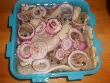 Eingelegter Hering mit Aquavit - Rezept