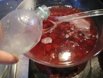 Eisbowle mit Kirschen (Fotos da..)oder Kirsch-Schlamm-Bowle genannt.... - Rezept - Bild Nr. 5