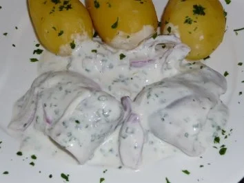 Matjes in Joghurt - Schnittlauchsoße - Rezept