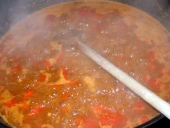 Rezept: Hähnchencurry "Drachenfeuer" Bild Nr. 5 Hähnchencurry "Drachenfeuer" - Rezept - Bild Nr. 5