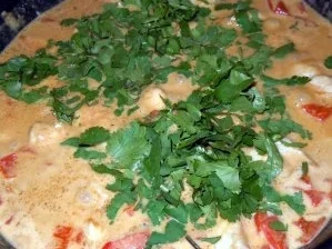 Rezept: Hähnchencurry "Drachenfeuer" Bild Nr. 8 Hähnchencurry "Drachenfeuer" - Rezept - Bild Nr. 8