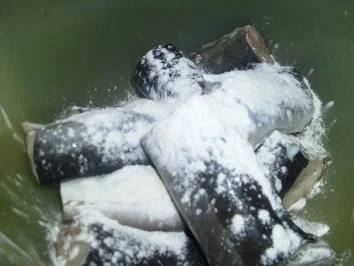 Rezept: Aal satt. frisch gebraten... Bild Nr. 4 Aal satt. frisch gebraten... - Rezept - Bild Nr. 4