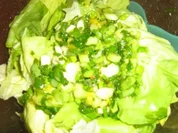 Rezept: Grรผner Salat mit Orangen - Mango - Dressing Grรผner Salat mit Orangen - Mango - Dressing - Rezept