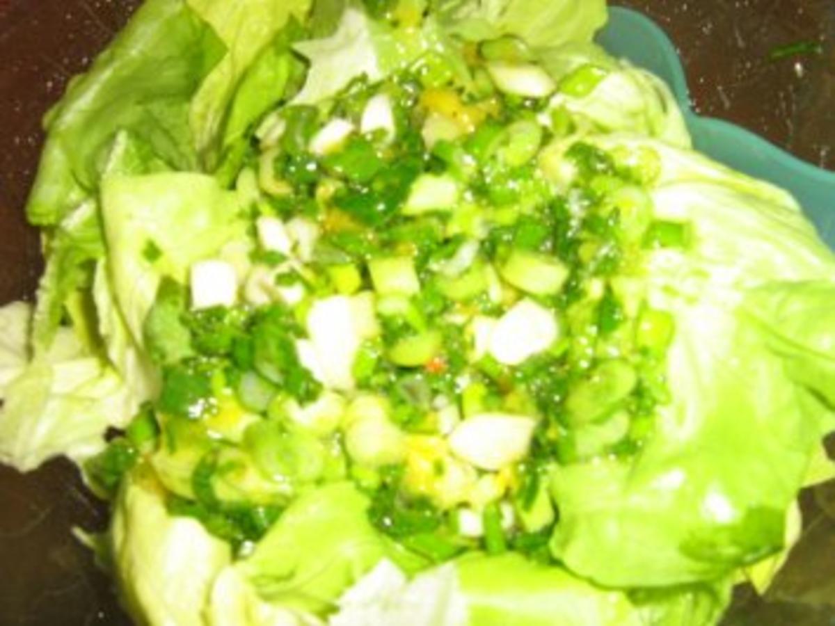 Grüner Salat mit Orangen - Mango - Dressing - Rezept