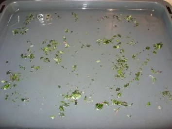 E: Knusperkartoffeln mit Thymian - Rezept - Bild Nr. 2