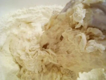 Pizza: Piacenza - Rezept - Bild Nr. 7