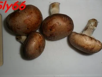 Rezept: Geflügel:Curry-Paprikahuhn Bild Nr. 15 Geflügel:Curry-Paprikahuhn - Rezept - Bild Nr. 15