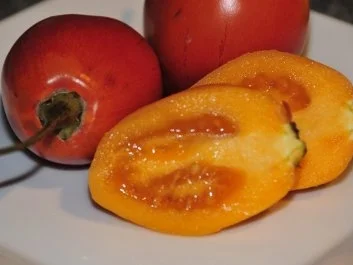 Tamarillo Chutney - Rezept - Bild Nr. 2