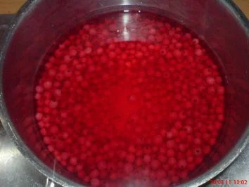 Dessert:..... ~ Rote Johannisbeer- Grütze mit Vanillesoße ~ - Rezept - Bild Nr. 2